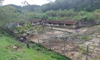 Imagem 4: Sítio 16 Alqueires (Willian Ricardo