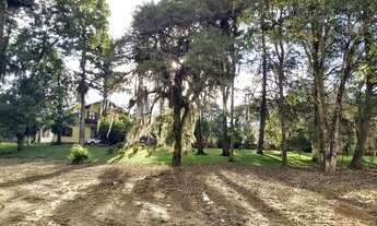 Imagem 5: TERRENO URBANO COMERCIAL - CENTRO - RIO NEGRINHO