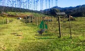 Imagem: Excelente Fazenda, localizado no Guapiara-SP