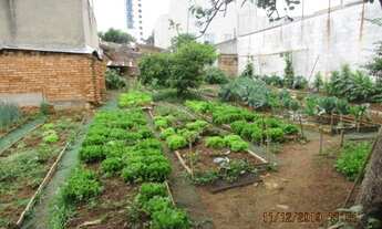 Imagem 6: Terreno - Venda - Vila Progresso - Cod. 2570