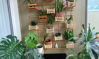 Imagem 5: CANOAS - Sobrado Padrão - Igara