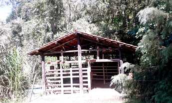 Imagem 3: Fazenda/Sítio/Chácara para venda possui 48400 metros quadrados com 4 quartos