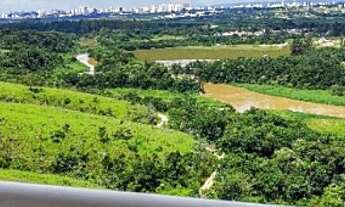 Imagem 5: Apartamento 03 Dormitórios em Jacareí - Arboville