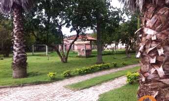 Imagem 6: Lindo sítio na beira de rodovia asfaltada, região de Guareí