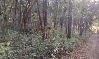 Imagem 4: COTIA - Terreno Padrão - TIJUCO PRETO