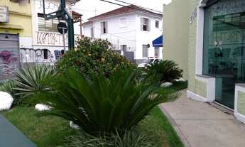 Imagem 4: Excelente ponto Comercial