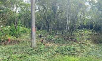 Imagem 3: Lote escriturado, medindo 241m2, apenas 10mil mais parcelas 500