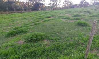 Imagem 7: Fazenda/Sítio/Chácara para venda tem 52000 metros quadrados com 4 quartos