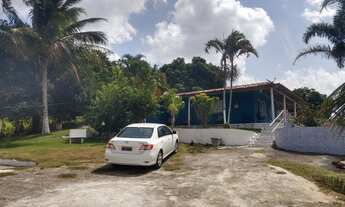 Imagem 4: Granja em bonança