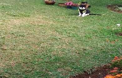 Imagem 6: CHACARASÃO ROQUE