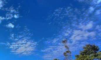 Imagem 3: Lote/Terreno para venda possui 2000 metros quadrados em Freitas - São José dos Campos - SP