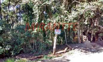 Imagem 2: Em Serra Da Cantareira