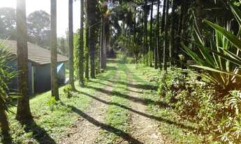 Imagem 6: Sítio em Piracaia com 35 mil m² próximo a cidade