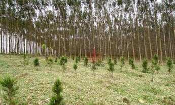 Imagem 5: Sítio à venda, 326700 m² por R$ 1.755.000,00 - Guarei - Guareí/SP