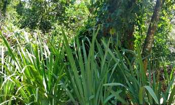 Imagem 4: SANTANA DE PARNAíBA - Terreno Padrão - Morada do Sol