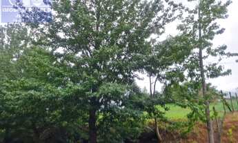 Imagem 4: TERRENO EM CONDOMÍNIO RESIDENCIAL em JUNDIAÍ - SP, Caxambú