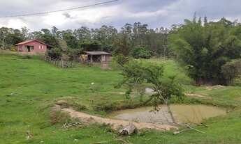 Imagem 3: Sitio com 1 alqueire e meio