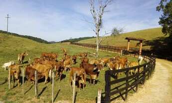 Imagem 5: Fazenda em registro s.p 140 alqueires 21.000.000.00 ( edis