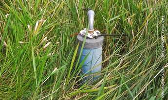 Imagem 6: FAZENDA COM 526HA, NA BEIRA DO ASFALTO, 155KM DE BRASILIA