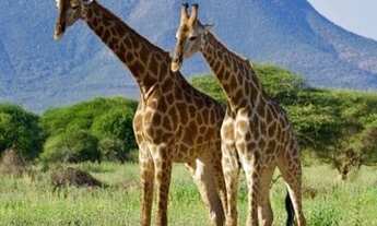 Imagem 3: Área para Venda Tupi, Piracicaba