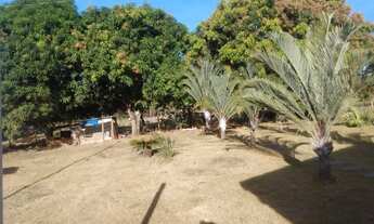 Imagem 5: Sitio 5 Hectares em Martinho Campos