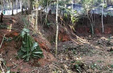 Imagem 8: Lote/Terreno para venda em condomínio Arujazinho 123