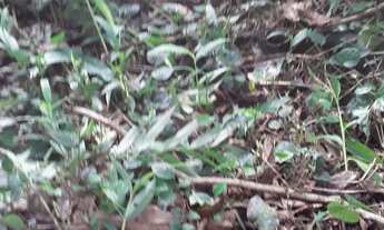 Imagem 5: Oportunidade 68mil a vista