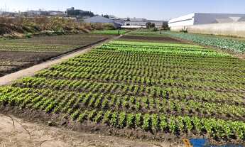 Imagem 3: Terreno comercial a venda localizado no bairro Portão em Arujá-SP!