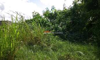 Imagem 4: Terreno à venda, 500 m² por R$ 300.000,00 - Golfinho - Caraguatatuba/SP