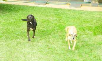 Imagem 5: Chácara Linda E Aconchegante - Tatuí - Sp