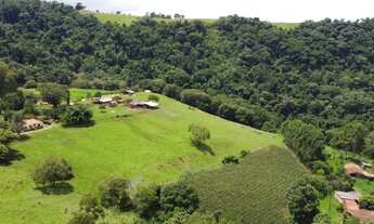 Imagem 3: Sítio de 6,5 alqueires em Pardinho-SP