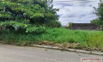 Imagem 2: Terreno para Venda em Peruíbe, Estancia dos Eucaliptos
