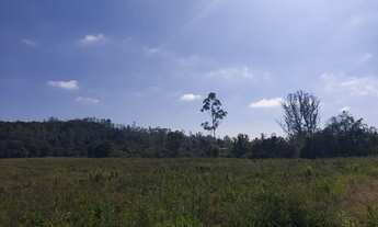 Imagem 3: Área para plantio, com 78000 metros quadrados em Ipelândia - Suzano - SP