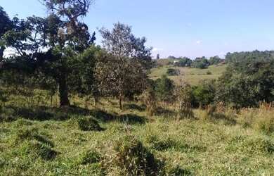 Imagem 6: Vendo área frente para Raposo Tavares Itapetininga SP