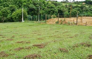 Imagem 2: Lote/Terreno para venda com 1000 metros quadrados em Condomínio Fazenda Duas Marias - Hola