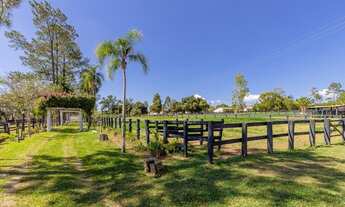 Imagem: Haras Espetacular!