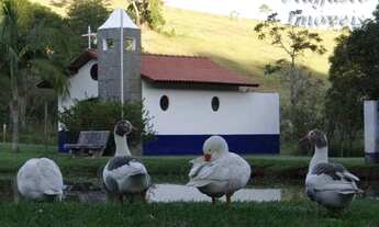 Imagem 5: Haras à venda em Bragança Paulista/SP - Compre o seu haras aqui!