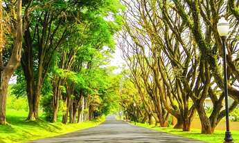 Imagem 5: Lote incrível próximo à entrada do condomínio à venda na Fazenda Serrazul I