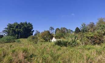 Imagem 7: Área para plantio, com 78000 metros quadrados em Ipelândia - Suzano - SP
