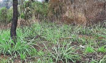 Imagem: Terreno em Condomínio para Venda em Igaratá