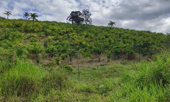 Imagem: Sítio 50 mil Pupunha Produzindo, 7 Tanques
