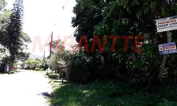 Imagem: Em Serra Da Cantareira