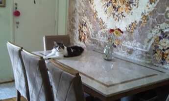 Imagem 4: APARTAMENTO 2 DORMITÓRIOS, EM REGIÃO DE GRANDE PROCURA