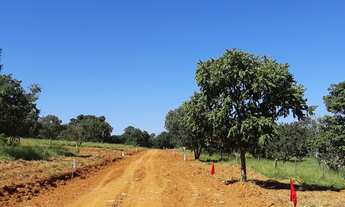 Imagem 6: Terrenos de 20.000m² em Baldim com Pagamento Facilitado