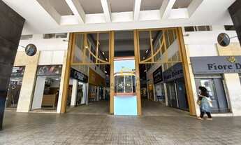 Imagem 6: Excelente Apartamento Edifício Santa Clara 220m2