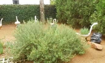 Imagem 6: VENDA CASA RIO PRETO BAIRRO CIDADE JARDIM