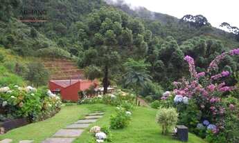 Imagem 6: SITIO PRÓXIMO A CAMPOS DE JORDÃO