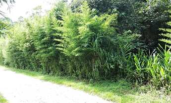 Imagem 5: Terreno à venda, 5324 m² por R$ 468.000,00 - Granja Viana - Cotia/SP