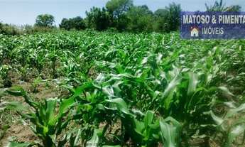 Imagem 3: Chácaras à venda em Charqueada/SP - Compre o seu chácaras aqui!