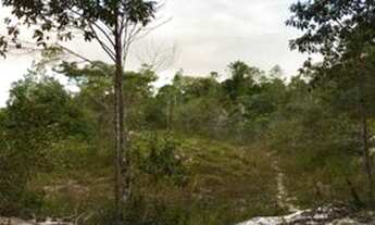 Imagem 10: Fazenda para Venda em Porto Seguro, arraial d ajuda